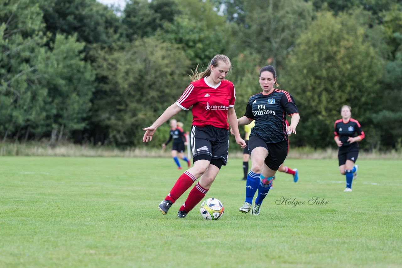 Bild 162 - Frauen SG NieBar - HSV 2 : Ergebnis: 4:3